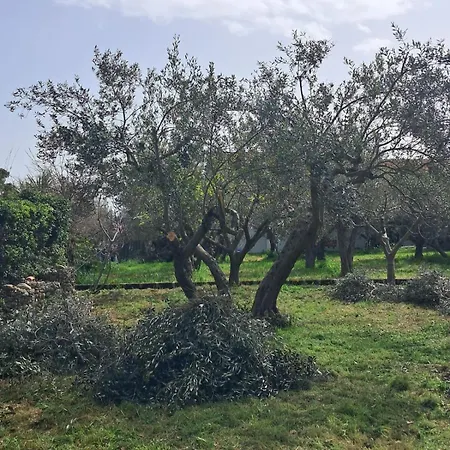 Da Mari Fossacesia
