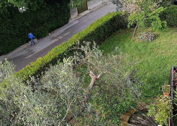 Da Mari * Фоссачезия